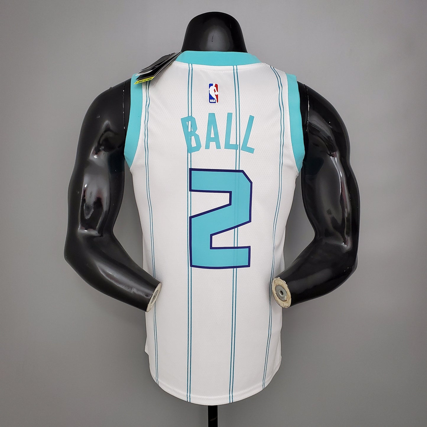Charlotte Hornets (white edition)
