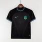 Brasil 2022 (Concept)