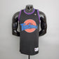 Space Jam 23 Jordan Retro