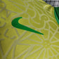 Brazil 2023/24