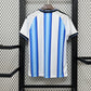 Argentina World Cup 2026 (Primera equipación)