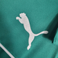 Palmeiras 2023/24 (edicion verde)